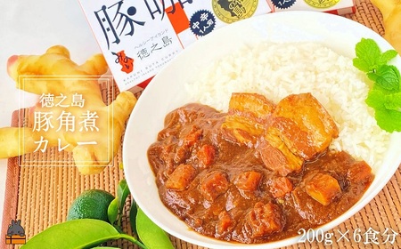 〜島豚の角煮が“ごろっ"〜徳之島豚角煮カレー(中辛)200g×6食 ( カレー カリー レトルトカレー ご当地カレー 豚肉 徳之島 奄美 鹿児島 スパイシー レターパックライト 美農里館 )