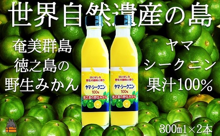 〜野生の島みかんの味〜徳之島のヤマ・シークニン果汁(300ml×2本) ( 調味料 柑橘 果物 薬味 果汁 香り 酸味 ドレッシング 野生みかん みかん ヤマシークニン 奄美 鹿児島 鍋 焼き魚 料理 お酒 焼酎 酸味 ダイキチ食品 )