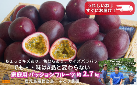 [すぐにお届け!]徳之島ふとり農園さんの家庭用パッションフルーツ(約2.7kg) ( 果物 パッション 訳アリ わけあり 家庭用 フルーツ 酸味 甘み プチプチ 徳之島 奄美 鹿児島 美味しい 旬 南の島 世界自然遺産 果樹 ふとり農園 )