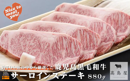 700猵Iꂽ јa T[CXe[L 880g ( I v~A i јa јa  V   Mtg  Ε Xe[L y LO