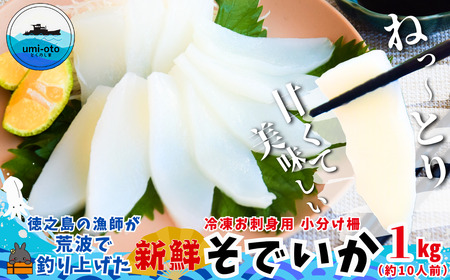 ���V���̋��t���r�g�Œނ�グ�����ł��� �Ⓚ���h�g�p�������� 1kg�i��10�l�O�j �i �\�f�C�J ���� �C�J ��^�̂��� ��V ���h�g �Â� �˂��Ƃ� �Ⓚ �V�N �����i ���� ���V�� ���� ���� ����