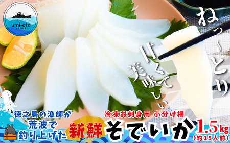 V̋trgŒނグł Ⓚhgp 1.5kgi15lOj i \fCJ  CJ ^̂ V hg Â ˂Ƃ Ⓚ VN i  V   