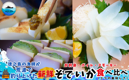 徳之島の漁師が荒波で釣り上げたそでいか 食べ比べ お刺身・ボイル・スモーキー ( 3つの美味しさ ソデイカ いか イカ )