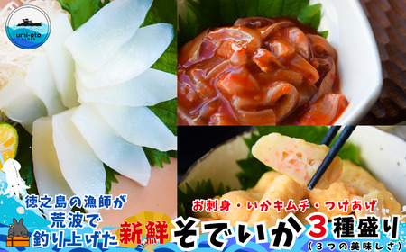 V̋trgŒނグł 3퐷 hgEL`E i R̔ \fCJ  CJ j