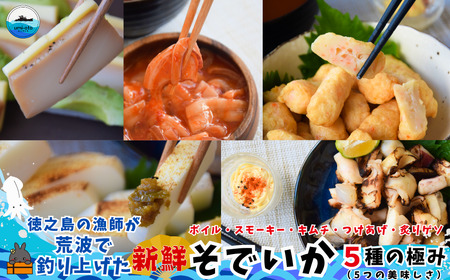 徳之島の漁師が荒波で釣り上げたそでいか 5種の極み ボイル・スモーキー・いかキムチ・つけあげ ・炙りげそ( 5つの美味しさ ソデイカ いか イカ )
