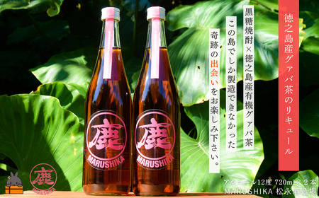 グァバの豊かな風味♪ 徳之島産有機グァバ茶リキュール 720ml×2本 (アルコール12度) ( 黒糖焼酎 酒 グァバ グァバ茶 松永酒造場 徳之島 奄美 鹿児島 福留農園 )
