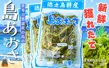 [2026年とれたて!]煌きの海からの恵み!島あおさ(3袋)( アオサ あおさ のり 海苔 乾物 徳之島 奄美 鹿児島 お味噌汁 料理 てんぷら 卵焼き 美味しい 新鮮 )
