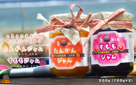 徳之島産フルーツ使用!低糖度の徳之島完熟たんかんジャム&すももジャム(100g×2) ( たんかん すもも ジャム パン 果物 フルーツ 徳之島 奄美 鹿児島 キッチンこころ )