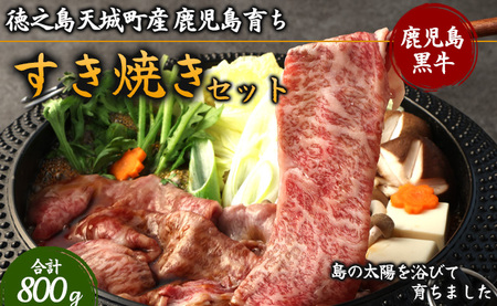 V V钬Y 炿 јa ĂZbg 800g [X o