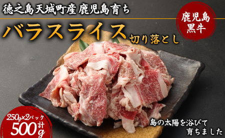 徳之島 天城町産 鹿児島育ち 鹿児島黒毛和牛 切り落とし 合計500g 250g×2パック バラ スライス