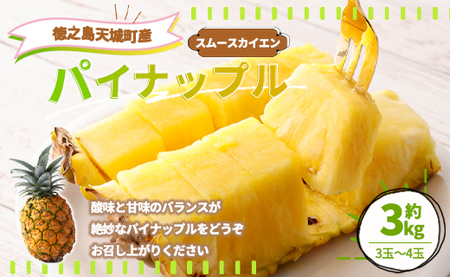 【先行受付】徳之島 天城町産 パイナップル 約3kg 3玉～4玉 スムースカイエン パイン フルーツ 果物