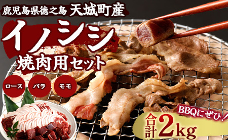 [鹿児島徳之島]イノシシ 焼肉用 セット2kg ジビエ ロース サイコロ バラ
