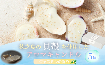 徳之島の貝殻を使用したアロマキャンドル 5個セット アロマキャンドル キャンドル 貝殻 癒し 鹿児島県 徳之島 天城町