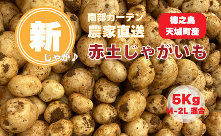 [新じゃが]徳之島 天城町産 赤土じゃがいも 5kg M〜2L 混合サイズ 南部ガーデン ジャガイモ ばれいしょ バレイショ CB-5