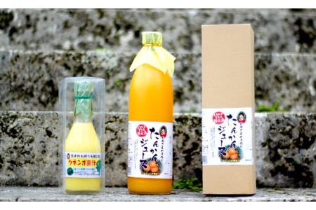 徳之島のビタミンセット◎たんかんジュース＆クネンボ果汁