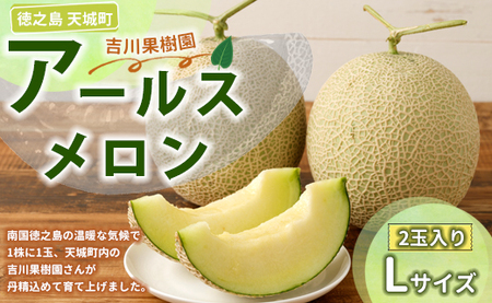 V V钬 gʎ A[X LTCY 2  }XN