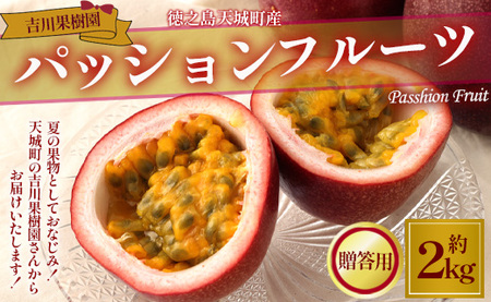 y2026Nzst V V钬 gʎ pbVt[c p 2kg (1kg×2) gsJt[c t[c pbV AB-28-N