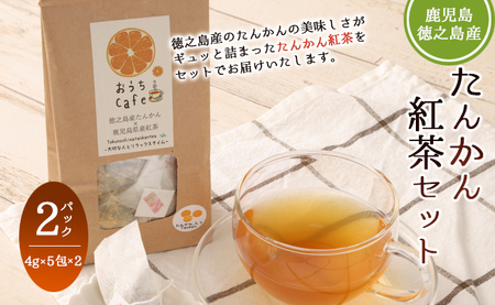 [徳之島産] たんかん紅茶 2パックセット (4g×5包)×2パック タンカン 紅茶 ティーパック