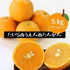 ys\! 2026N2菇z  _̂񂩂 yϔz5kgy1460243z