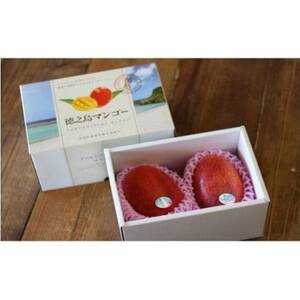 [2026年7月中旬より順次発送]完熟マンゴー約1kg(2〜3個:化粧箱入り)、家庭用(B級品)[配送不可地域:離島]