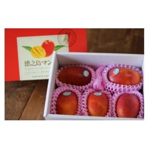 【2025年7月中旬より順次発送】完熟マンゴー約2kg(4～6個:化粧箱入り)、家庭用(B級品)【配送不可地域：離島】【1410025】