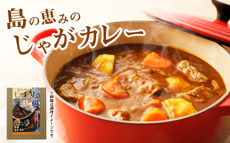 島の恵みの じゃがカレー (1袋) W011-006u カレー カレーライス レトルト スパイス おかず じゃがいも 桑 島にんにく 黒糖 簡単 便利 常温保存 沖永良部 沖永良部島 郵送 ポスト投函 恵み工房 サロンバー エスポワール ふるさと納税 鹿児島 和泊町 おすすめ ランキング プレゼント ギフト