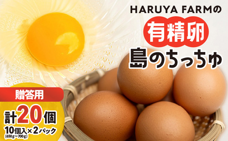 [ 贈答用 ]HARUYA FARM の 有精卵「 島のちっちゅ 」 W065-001-01 卵 鶏卵 たまご エッグ 鶏 にわとり 安心安全 安心 安全 低コレステロール 高タンパク質 低カロリー 食物繊維 たまごサンド たまごかけご飯 プリン パック パック HARUYAFARM ふるさと納税 和泊町 おすすめ ランキング プレゼント ギフト