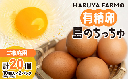 [ ご家庭用 ]HARUYA FARM の 有精卵「 島のちっちゅ 」 W065-001-02 卵 鶏卵 たまご エッグ 鶏 にわとり 家庭用 安心安全 安心 安全 低コレステロール 高タンパク質 低カロリー 食物繊維 たまごサンド たまごかけご飯 プリン パック パック HARUYA FARM ふるさと納税 鹿児島 おすすめ ランキング プレゼント ギフト