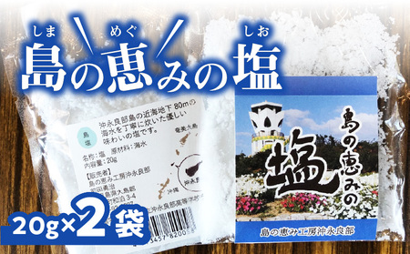 島の恵みの塩 2袋 W011-003u-02 塩 食塩 海塩 ソルト 海水 天然 調味料 シーソルト ミネラル 沖永良部 沖永良部島 郵送 ポスト投函 島恵み工房 サロンバー エスポワール ふるさと納税 鹿児島 和泊町 おすすめ ランキング プレゼント ギフト