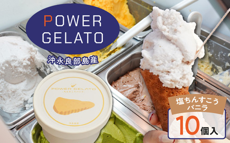 POWER GELATO iǕYi 񂷂oj j90ml × 10 W066-004-02 WF[g p[WF[g fU[g Xَq َq  CAFE Typhoon 񂷂 oj Yi SDGs iǕ 