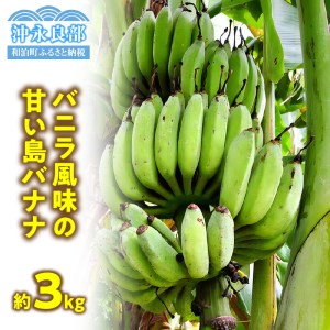 栽培期間中 農薬 ・ 除草剤 ・ 化学肥料不使用 ! バニラ風味 の 甘い 島バナナ 3kg [2025年6月〜2025年11月下旬お届け] W043-001u バナナ フルーツ 果物 島限定 南国フルーツ 期間限定 限定 美味しい おいしい 栄養満点 贅沢 間食 おやつ バナナケーキ バナナチップス ヨーグルト 朝食 沖永良部島 沖田農園 ふるさと納税 鹿児島 和泊町 おすすめ ランキング プレゼント ギフト
