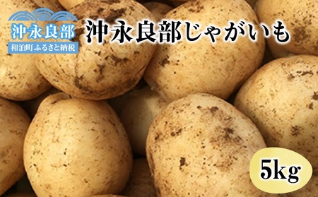 [ 2025年 先行予約 ]私も惚れたホクホク食感! まるとよ農産 の「 沖永良部 じゃがいも 」5kg![1月下旬〜5月下旬] W009-029u ジャガイモ 野菜 やさい 根菜 イモ類 イモ 事前予約 受付 予約 先行 事前受付 先行 ホクホク カレー 肉じゃが コロッケ 煮物 沖永良部島 鹿児島県 ふるさと納税 和泊町 おすすめ ランキング プレゼント ギフト