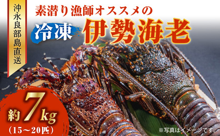 沖永良部島 直送 ！ 素潜り漁師 オススメ の 冷凍 伊勢海老 約 7kg（ 15 ～ 20匹 ）！ W030-006u 冷凍伊勢海老 イセエビ 伊勢えび 海老 エビ 海産物 海鮮 甲殻類 魚介 ぷりぷり 美味しい 甘い 新鮮 おいしい 天然 味噌汁 天ぷら 天そば おかず 夕食 惣菜 総菜 鹿児島県 西郷食堂 ふるさと納税 鹿児島 おすすめ ランキング プレゼント ギフト