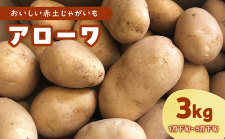 [ 2025年 先行予約 ]沖永良部島産 おいしい 赤土じゃがいも アローワ 3kg[1月下旬〜5月下旬]W009-070u-01 じゃがいも ジャガイモ 野菜 根菜 イモ類 イモ ホクホク 沖永良部 先行受付 先行 予約 カレー 肉じゃが コロッケ 煮物 まるとよ農産 沖永良部島 鹿児島県 ふるさと納税 和泊町 おすすめ ランキング プレゼント ギフト