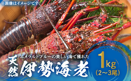 yW057-002uzGhu[̔CŊlꂽVRɐCVPsiQ`RjI