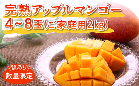 [W001-008u][先行予約]訳あり 田中マンゴー園 完熟アップルマンゴー 4〜8玉で2kg(ご家庭用)