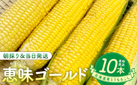 [2026年8月中旬発送開始]北海道産とうもろこし(恵味ゴールド10本)