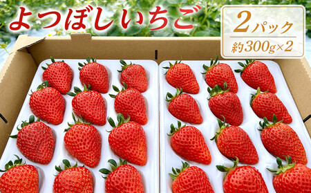 よつぼしいちご 約600g(約300g×2パック)