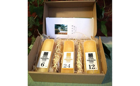 熟成チーズ 熟成別セット24(6・12・24ヶ月)