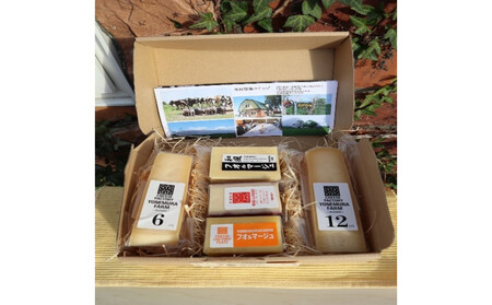 熟成チーズ 5種セット