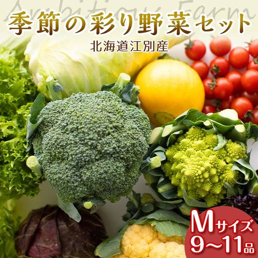 季節の彩り野菜セットMサイズ(9～11品) 野菜 詰め合わせ 新鮮 産地直送 北海道 江別市 EB8-0154