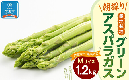 ys\/2026N4{蔭JnzBO003ʌEԌ聄O[AXpKX(MTCY) 1.2kg In͔| ̂