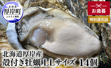 北海道 厚岸産 殻付き 牡蠣 LLサイズ 14個 お歳暮 特別選別品