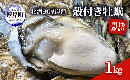 訳あり 北海道 厚岸産 殻付き 牡蠣 1kg