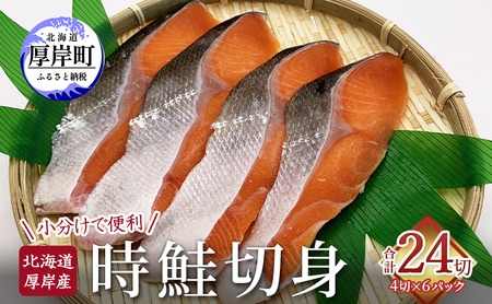 kC ݎY  ؐg 4×6P v24؂ ŕ֗  Ă 