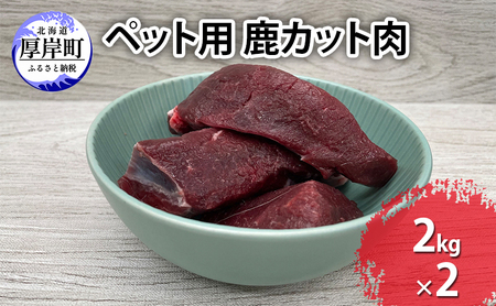 ybgp  Jbg v4kg i2kg×2pbNj