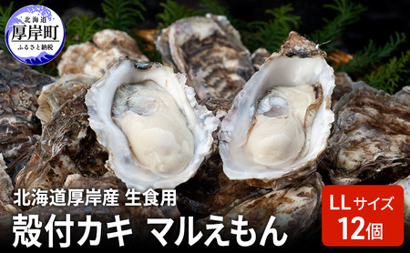 北海道厚岸産 生食用 殻付カキ LLサイズ 12個 マルえもん 魚貝類 海の幸 海のミルク 海鮮 国産 北海道産 オイスター つまみ お酒 あて 肴 生牡蠣 メルマガ掲載商品1