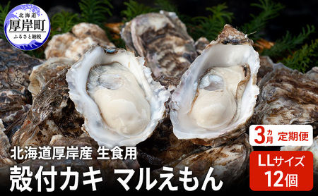 [ 3ヵ月 定期便 ] 北海道厚岸産 生食用 殻付カキ LLサイズ 12個 マルえもん 魚貝類 海の幸 海のミルク 海鮮 国産 北海道産 オイスター つまみ お酒 あて 肴 生牡蠣 メルマガ掲載商品1