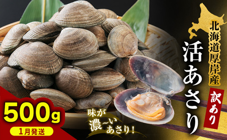 1月発送 北海道 厚岸産 訳あり 活あさり 500g  アサリ 魚貝 海鮮 大粒 美味しい 栄養 旨み 砂出し 水洗い 冷蔵 冷凍保存可能 便利