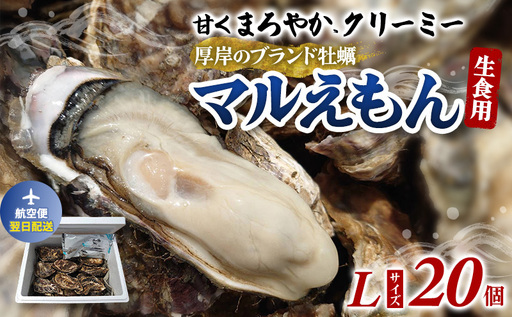 翌日配送 航空便 厚岸のブランド牡蠣 マルえもん Lサイズ 20個 [ 牡蠣 生食用 魚貝類 海鮮 海のミルク 国産 生食用殻付き牡蠣 まろやか クリーミー 牡蠣の酒蒸し 焼き牡蠣 マルえもん ]